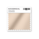 Champagne Matte Satin Swatch