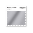 Silver Matte Satin Swatch