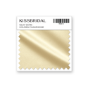 Golden Champagne Silky Satin Swatch