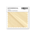 Golden Champagne Tulle Swatch