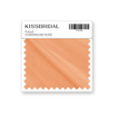 Champagne Rose Tulle Swatch