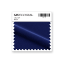 Navy Velvet Swatch