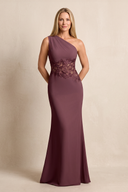 Desert Rose Sheath One-Shoulder Chiffon Embroidered Mother of the Bride Dress | KISSBRIDAL