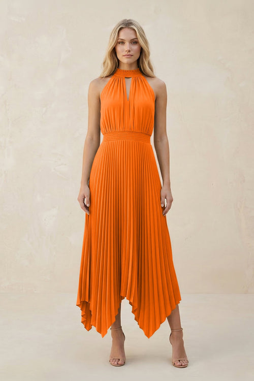 Halter Neck Pleated A - Line Chiffon Bridesmaid Dress in Cinnamon - SHE IS ME Bridesmaid Dresses