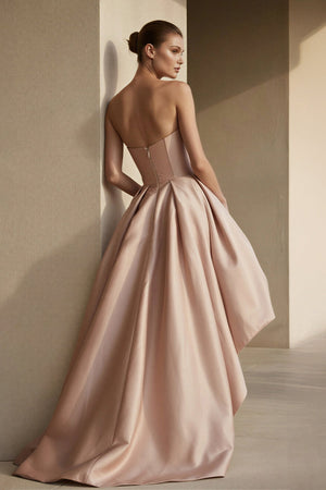Strapless High - Low Pleated Gown in Blush - SHE IS ME
